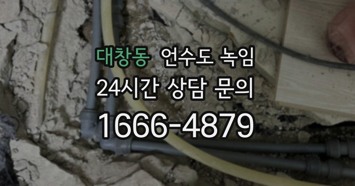 대창동 언수도 녹임