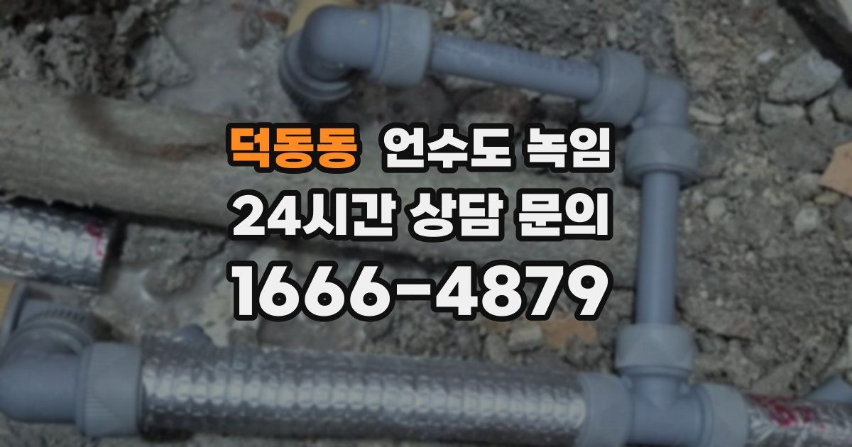 덕동동 언수도 녹임