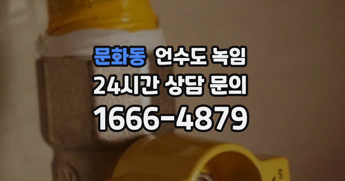 문화동 언수도 녹임