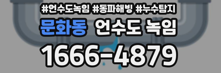 문화동 언수도 녹임