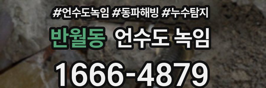 반월동 언수도 녹임