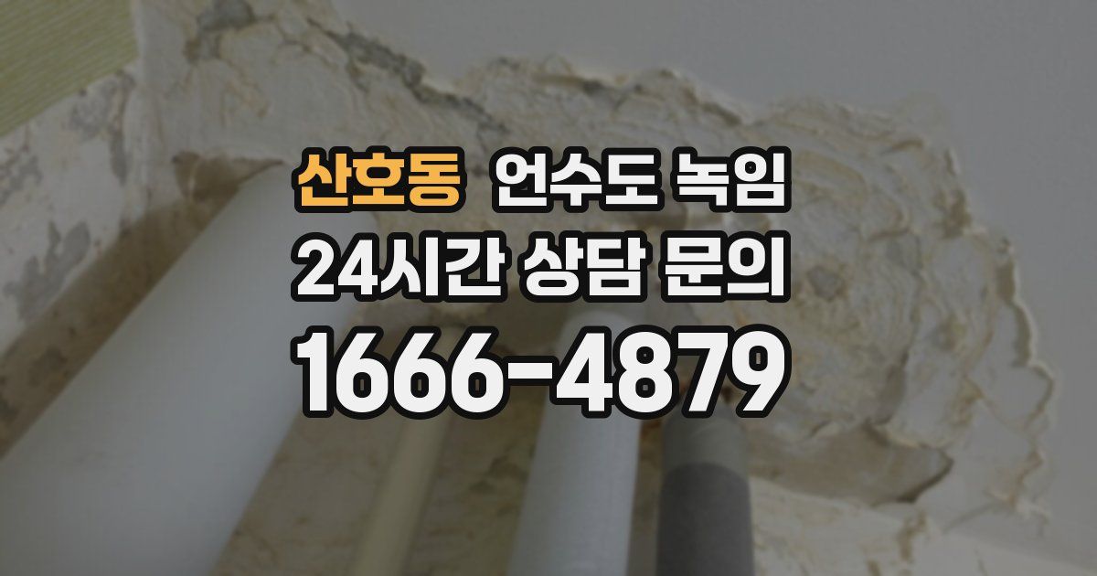 산호동 언수도 녹임