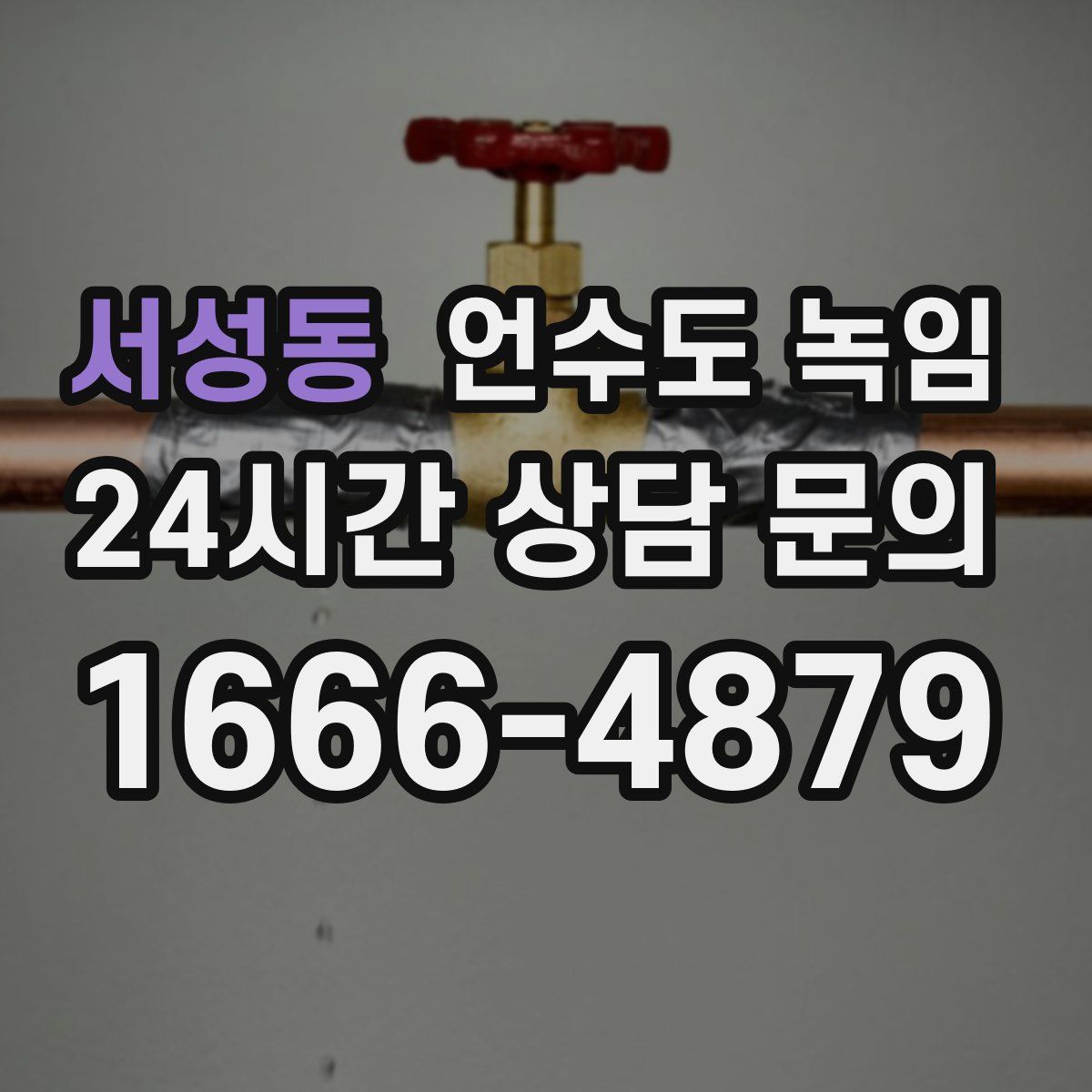 서성동 언수도 녹임