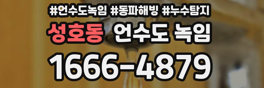 성호동 언수도 녹임