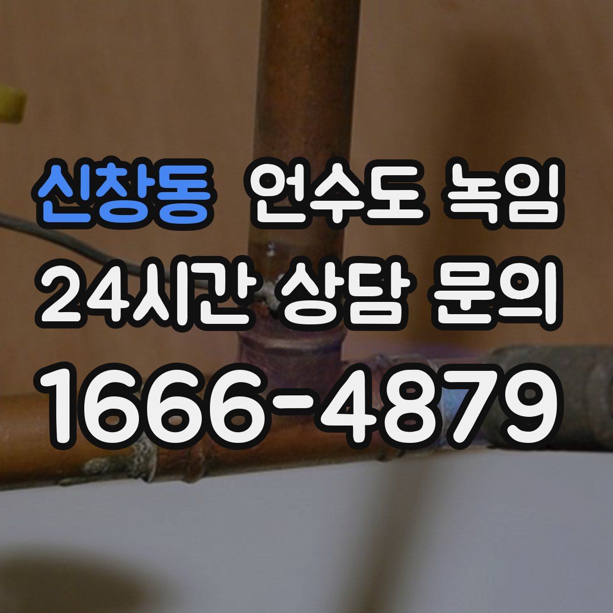 신창동 언수도 녹임