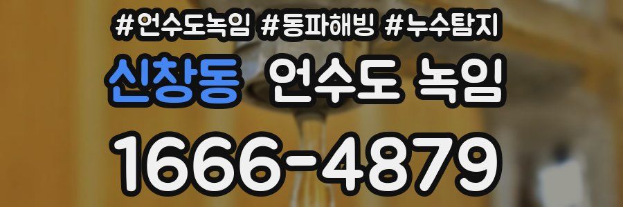 신창동 언수도 녹임