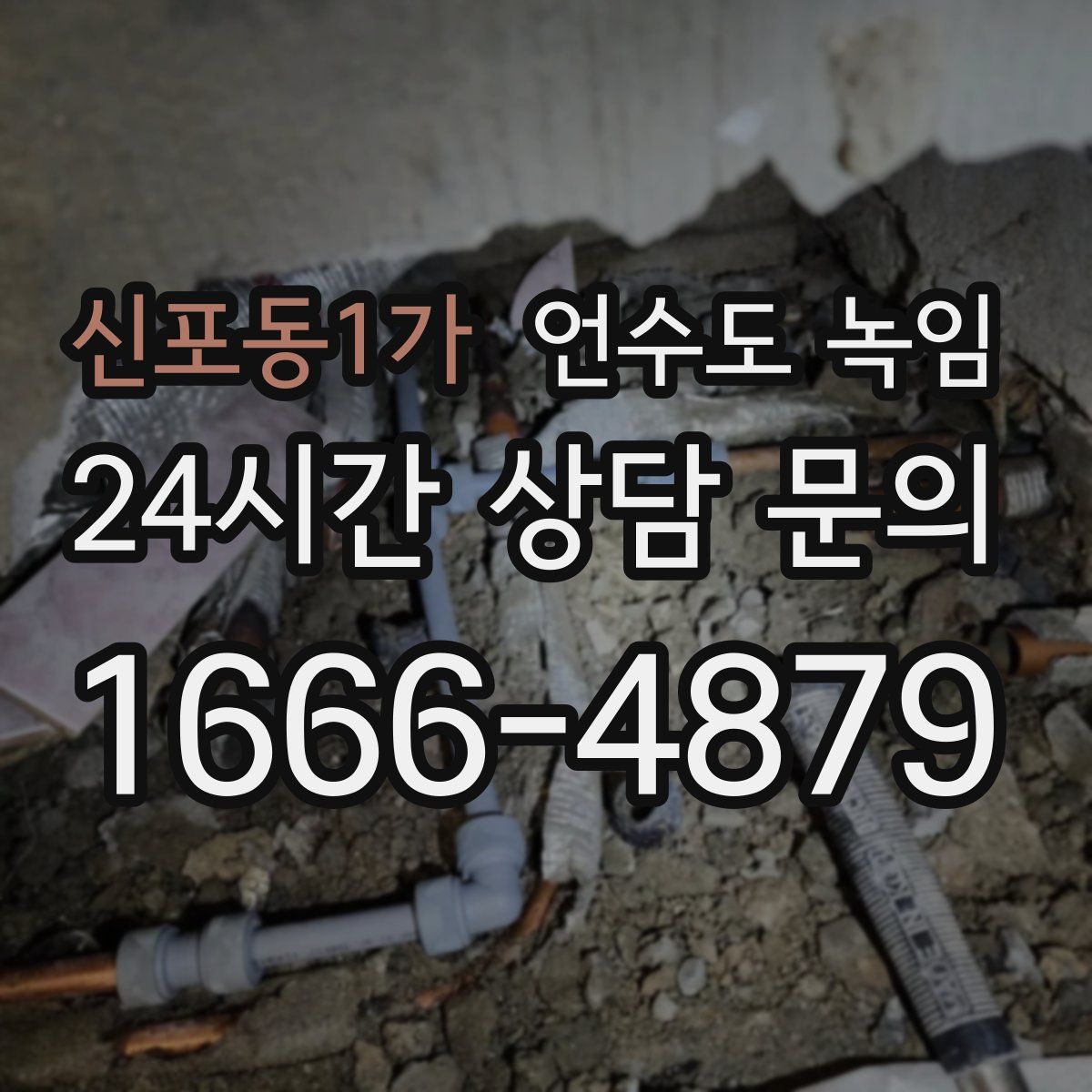 신포동1가 언수도 녹임