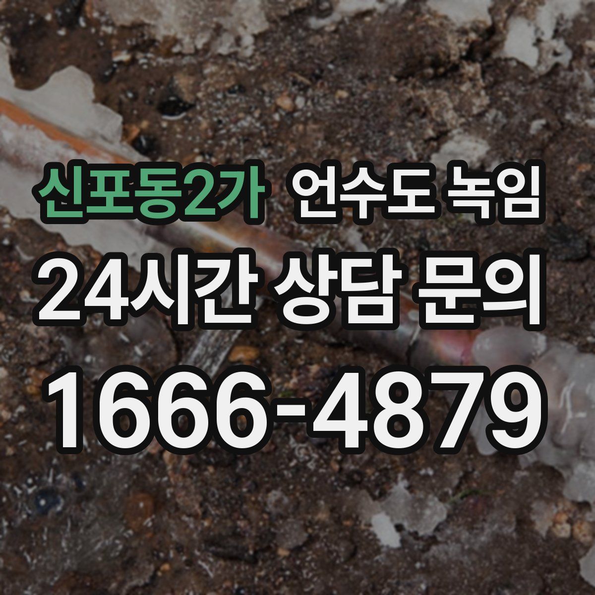 신포동2가 언수도 녹임