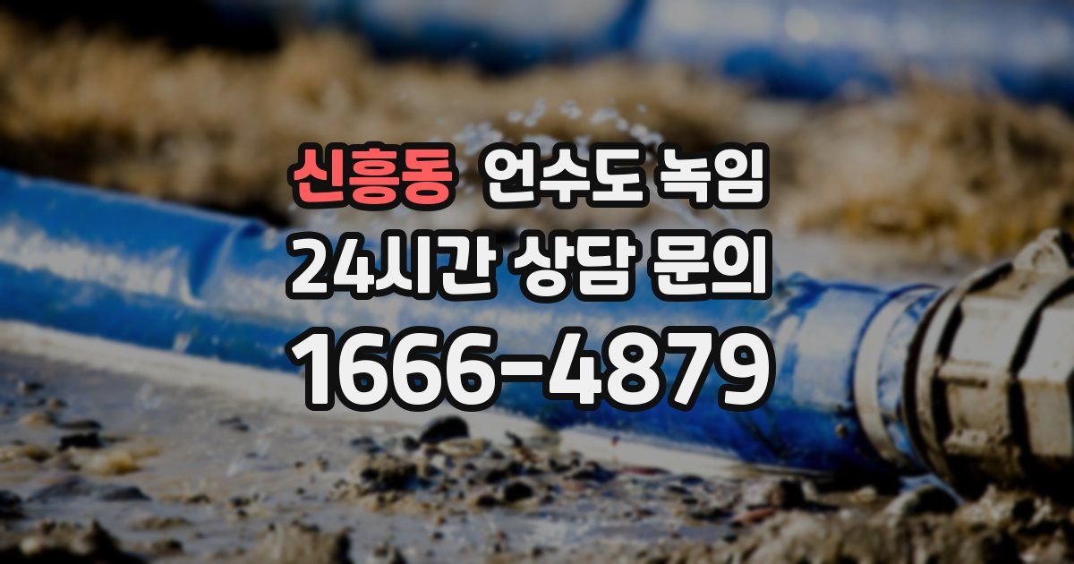 신흥동 언수도 녹임