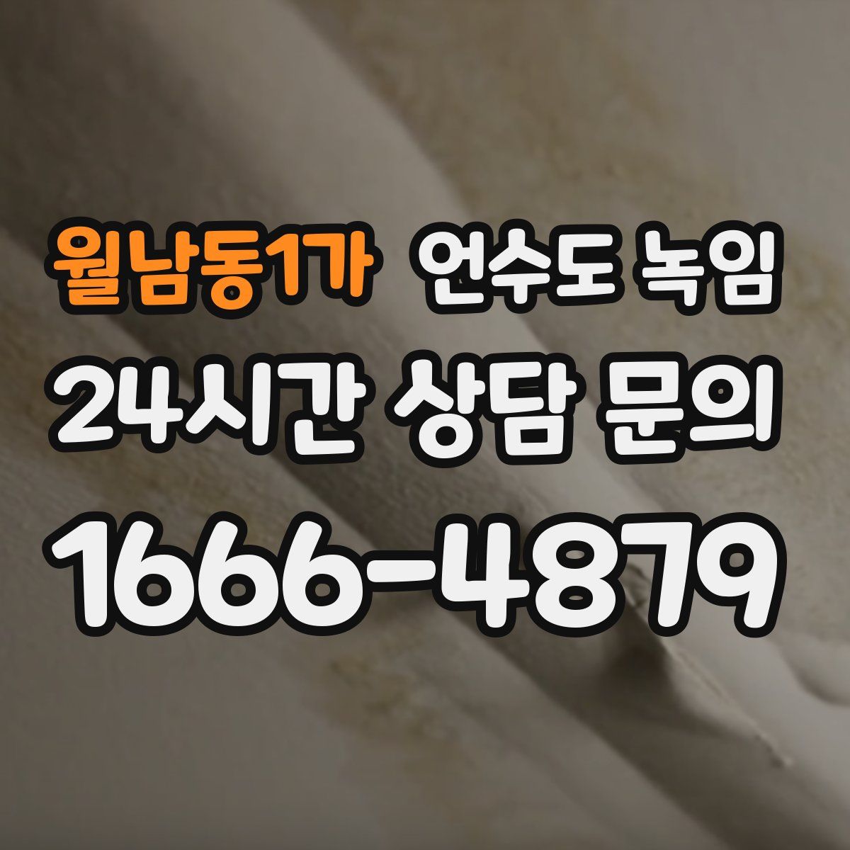 월남동1가 언수도 녹임