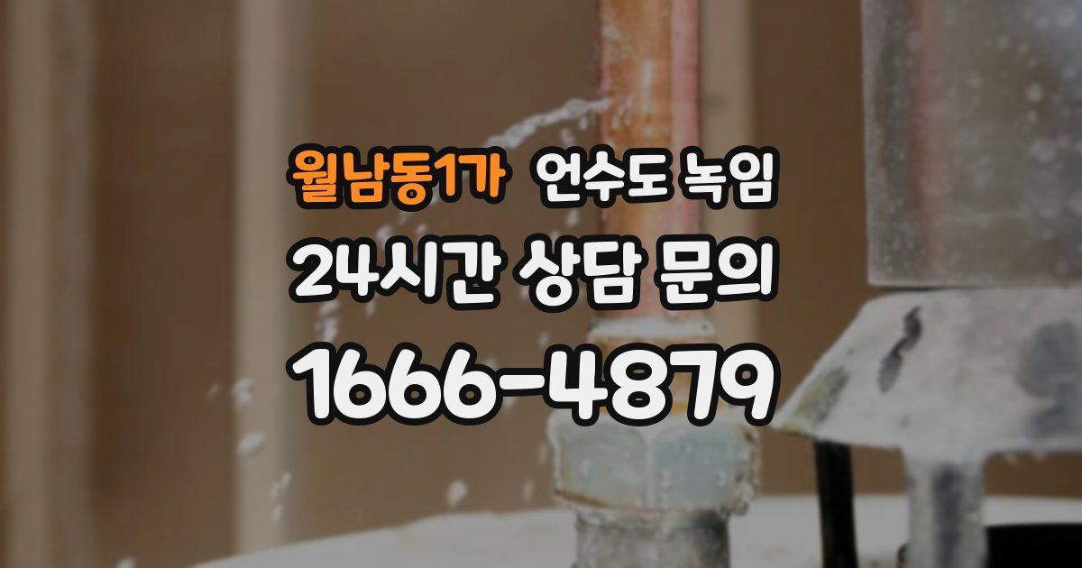 월남동1가 언수도 녹임