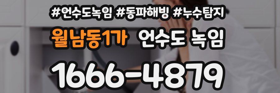 월남동1가 언수도 녹임