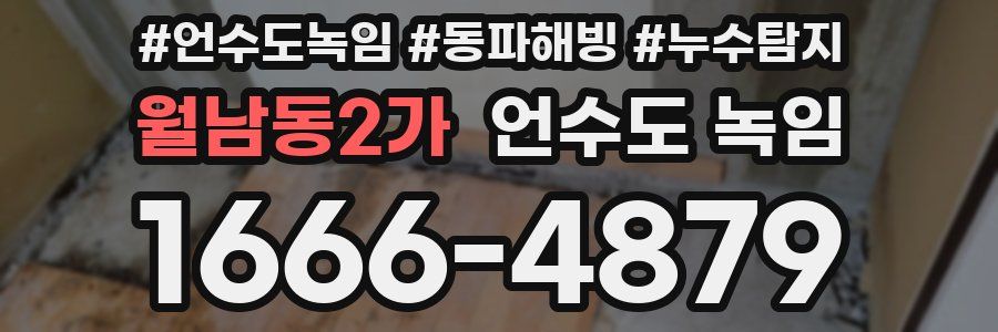 월남동2가 언수도 녹임