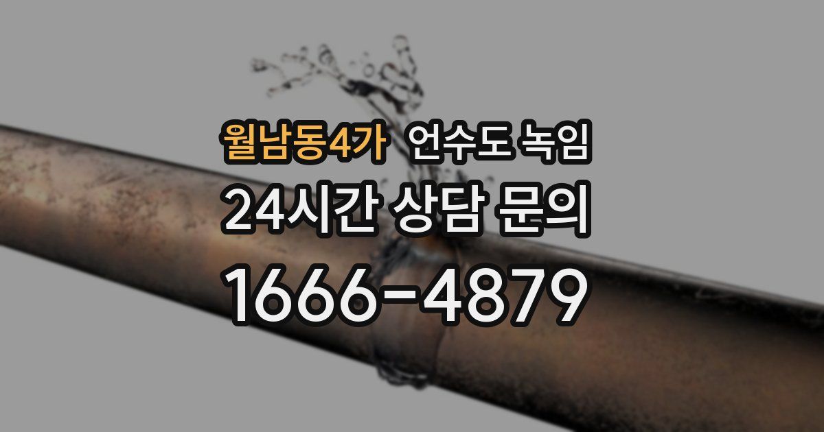 월남동4가 언수도 녹임