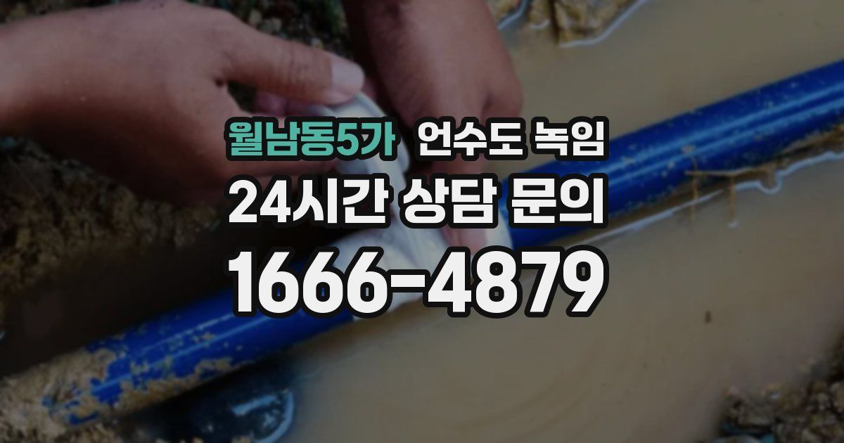 월남동5가 언수도 녹임