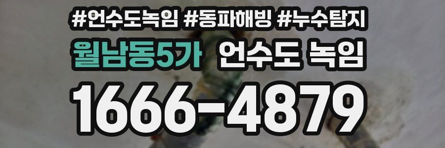 월남동5가 언수도 녹임