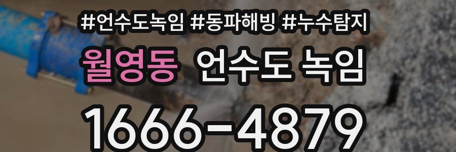 월영동 언수도 녹임