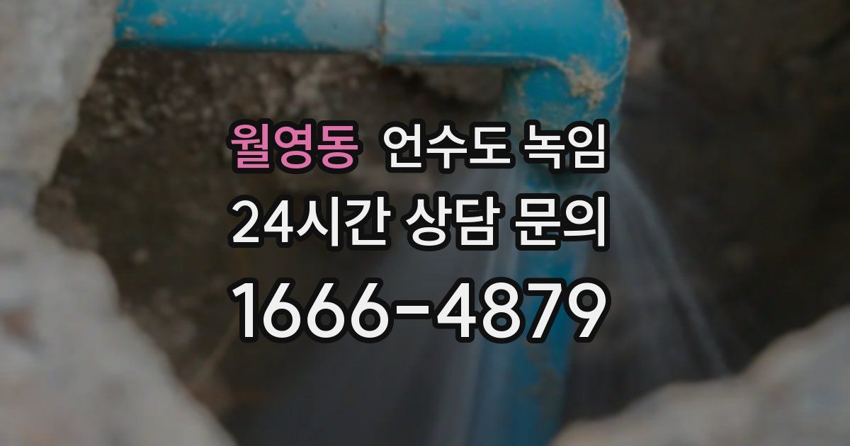 월영동 언수도 녹임