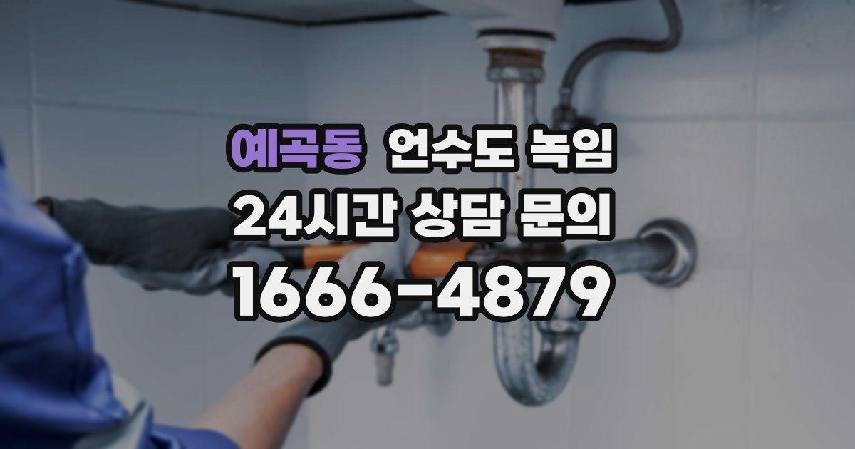 예곡동 언수도 녹임