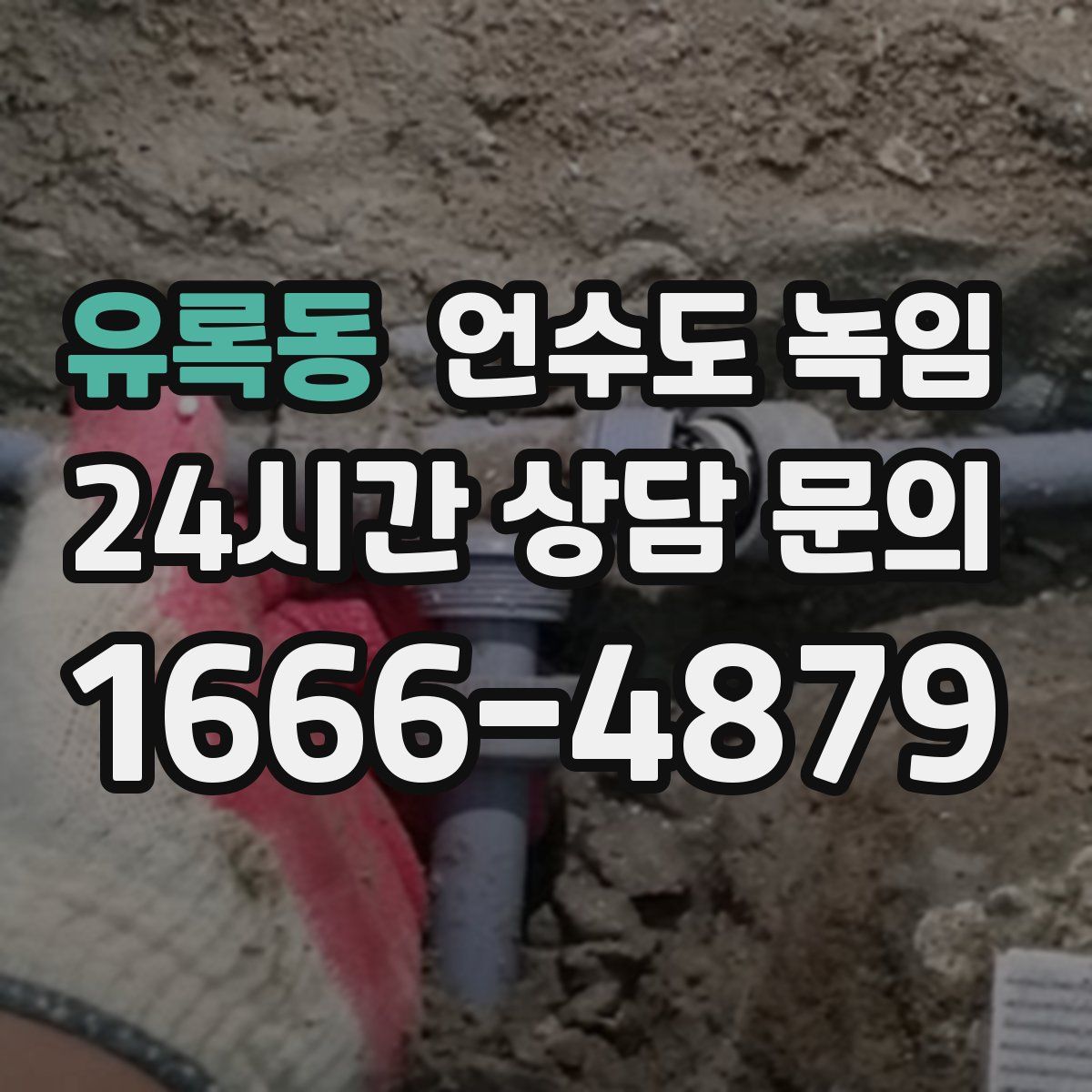 유록동 언수도 녹임