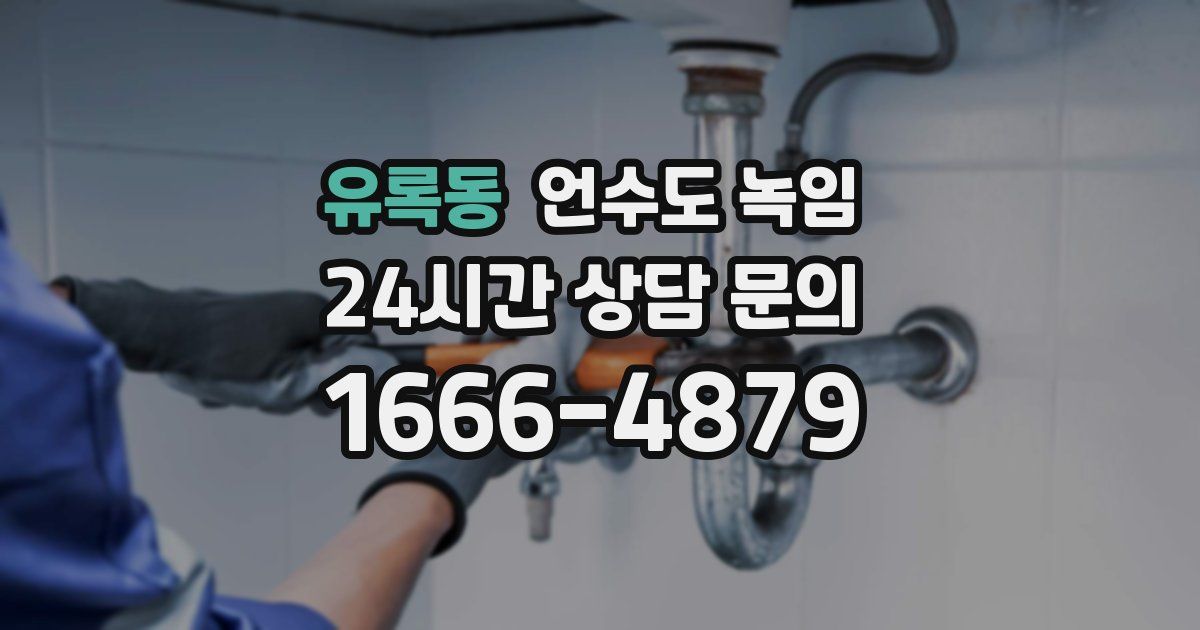 유록동 언수도 녹임