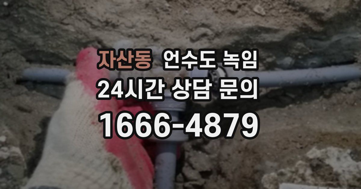 자산동 언수도 녹임