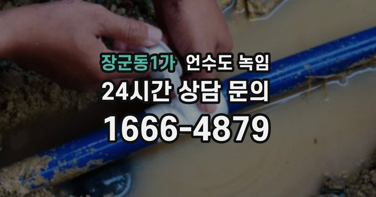 장군동1가 언수도 녹임