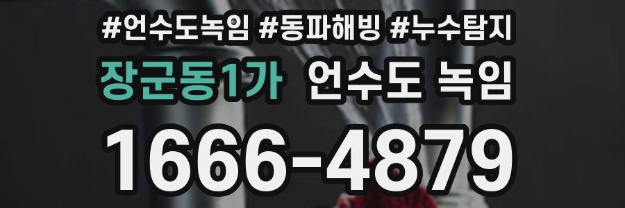 장군동1가 언수도 녹임