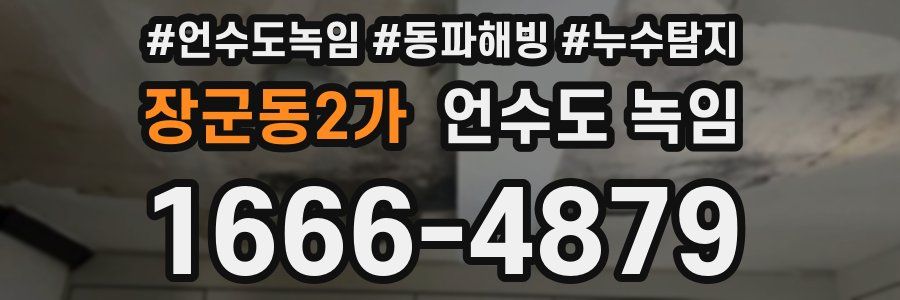 장군동2가 언수도 녹임
