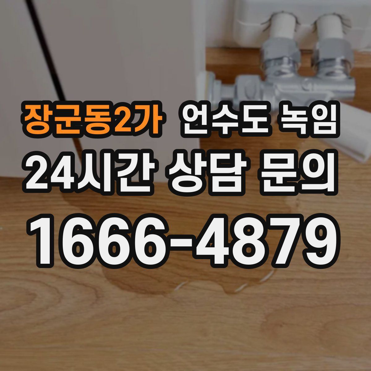 장군동2가 언수도 녹임