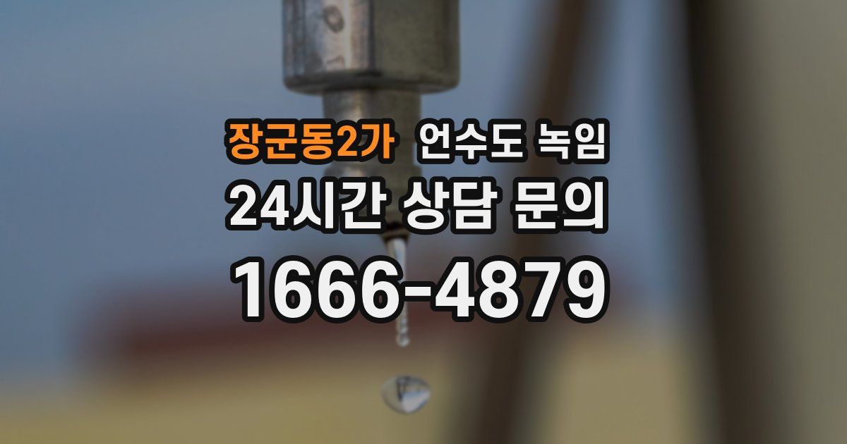 장군동2가 언수도 녹임