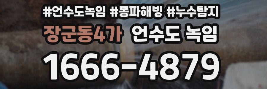 장군동4가 언수도 녹임