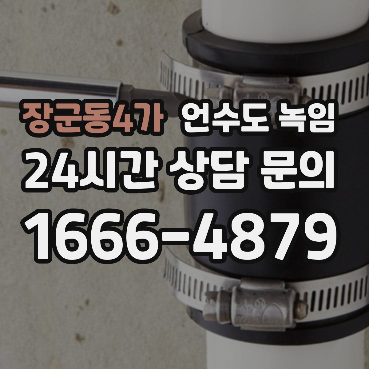 장군동4가 언수도 녹임