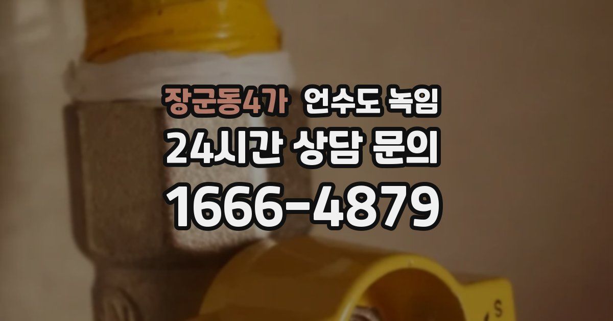 장군동4가 언수도 녹임