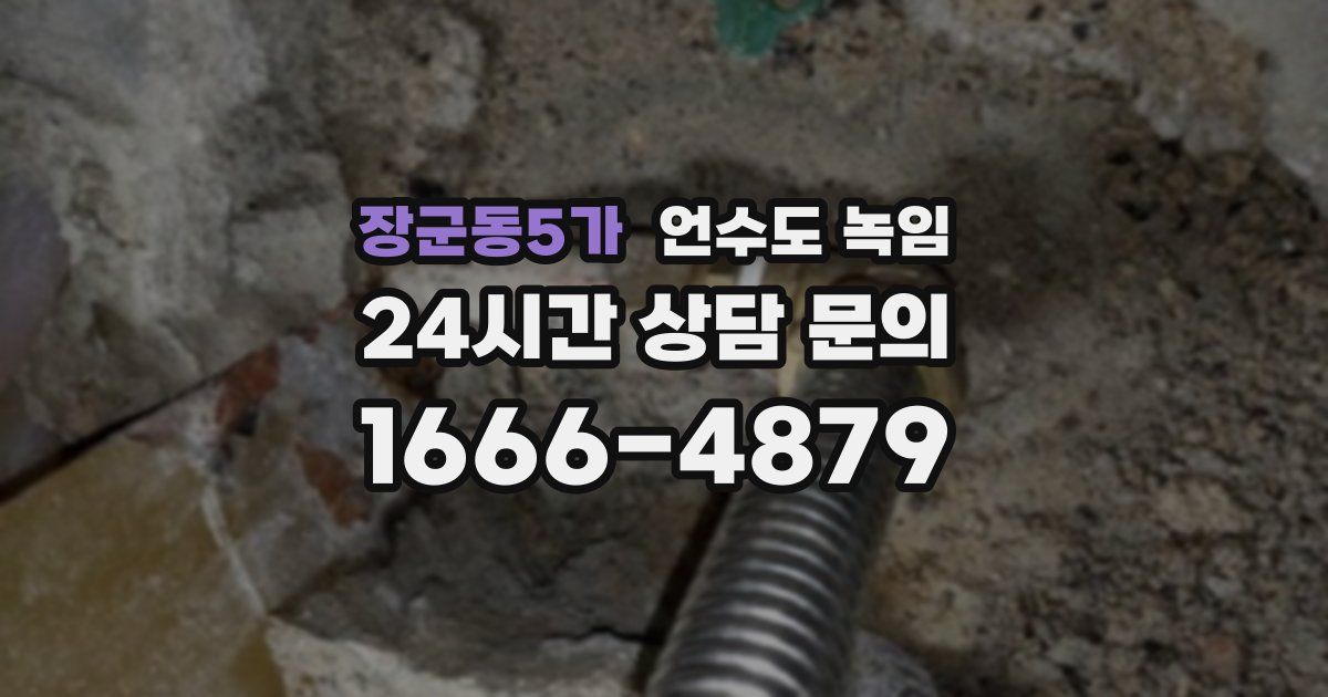 장군동5가 언수도 녹임