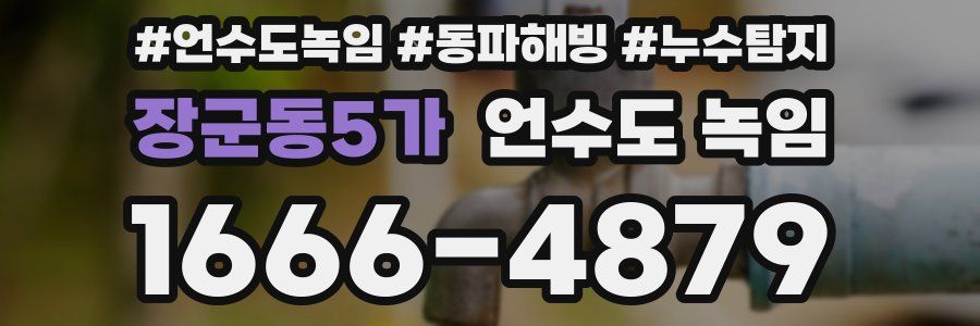 장군동5가 언수도 녹임