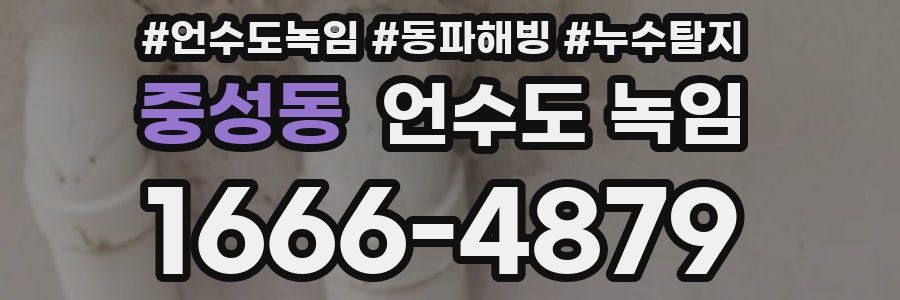 중성동 언수도 녹임