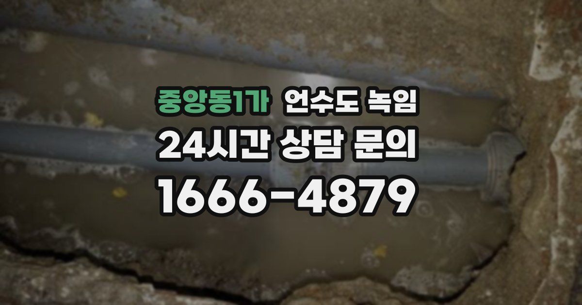 중앙동1가 언수도 녹임