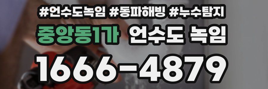 중앙동1가 언수도 녹임