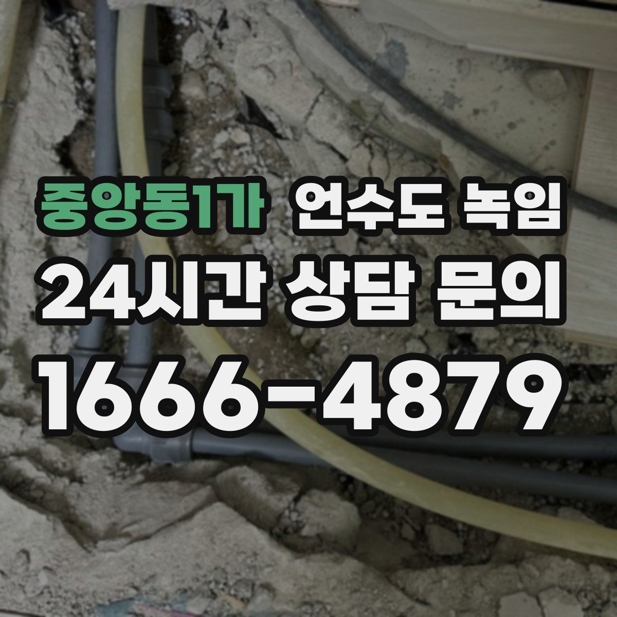 중앙동1가 언수도 녹임