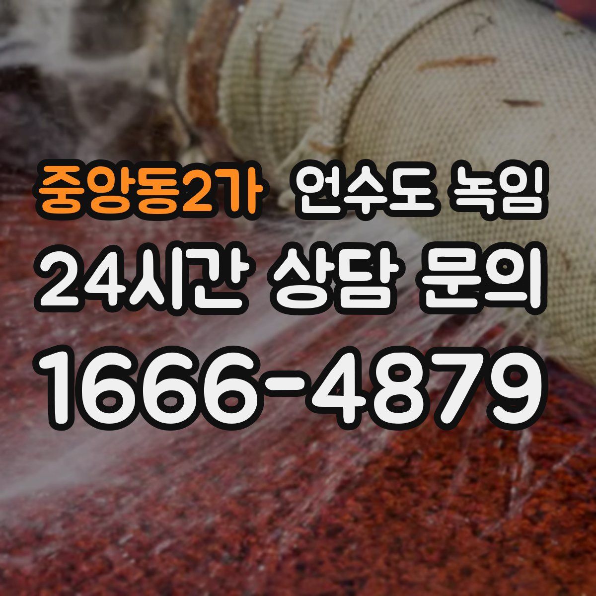 중앙동2가 언수도 녹임