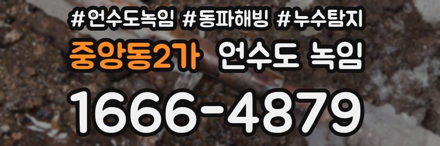 중앙동2가 언수도 녹임