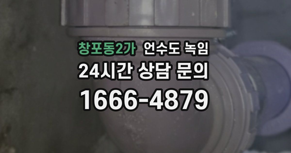 창포동2가 언수도 녹임