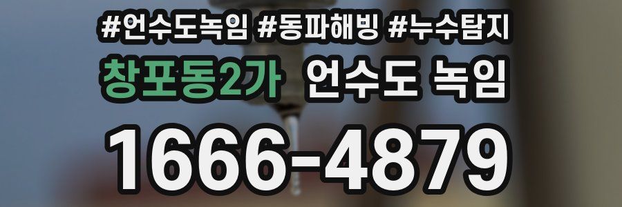 창포동2가 언수도 녹임