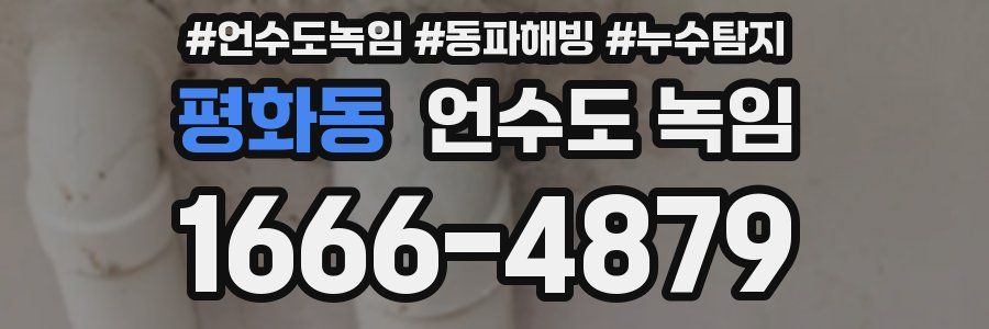 평화동 언수도 녹임