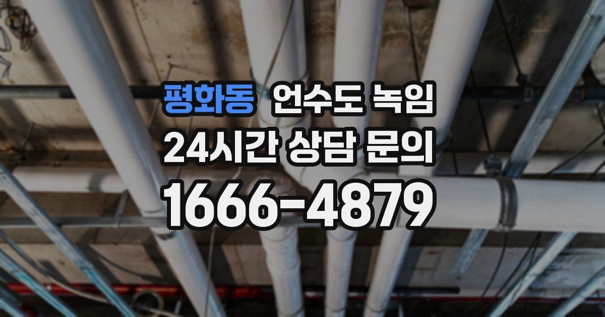 평화동 언수도 녹임