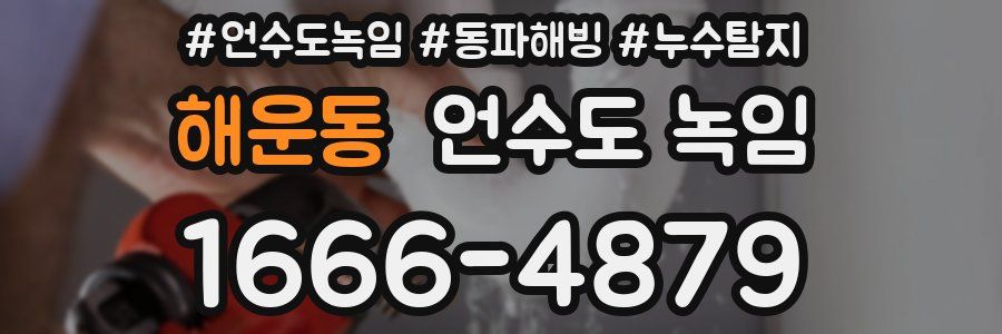 해운동 언수도 녹임