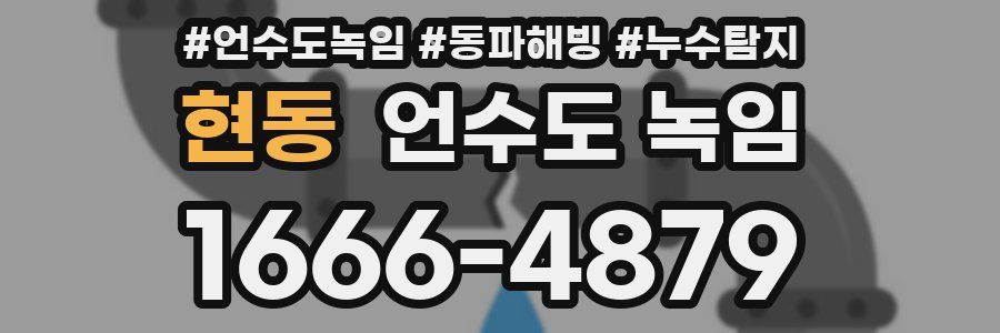 현동 언수도 녹임