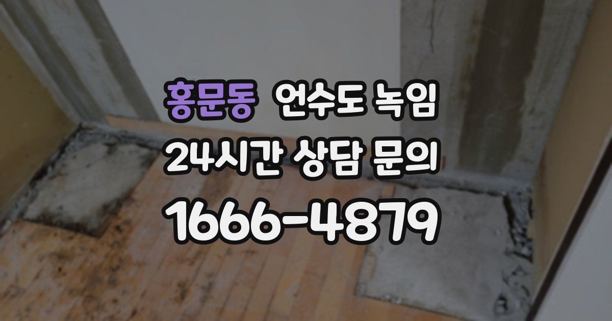 홍문동 언수도 녹임