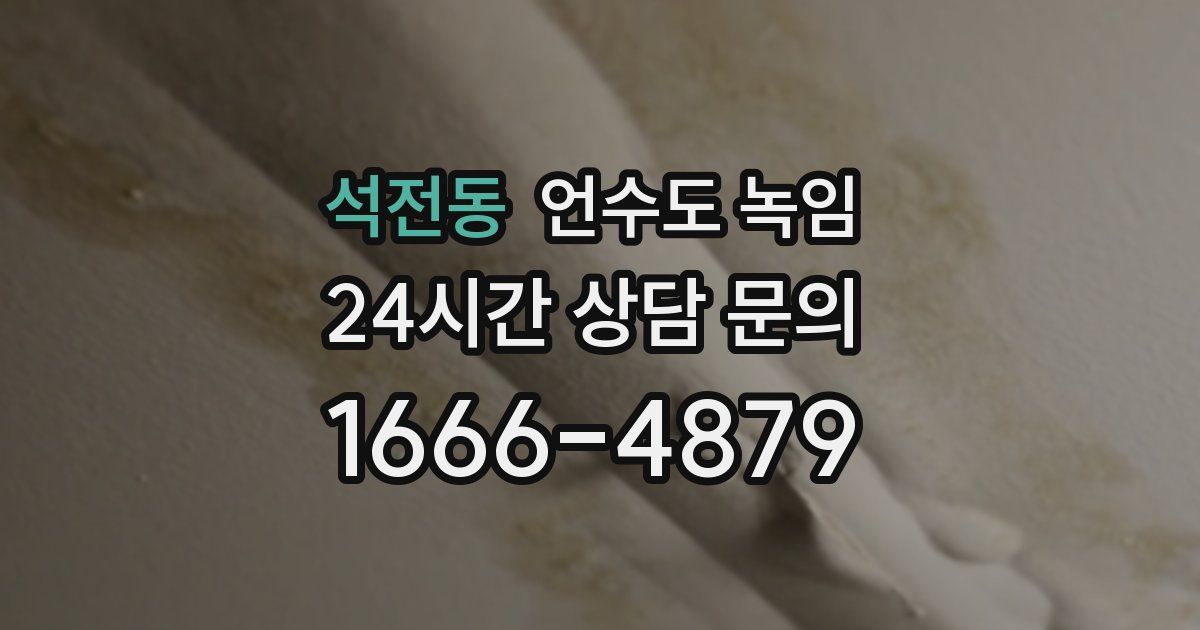 석전동 언수도 녹임